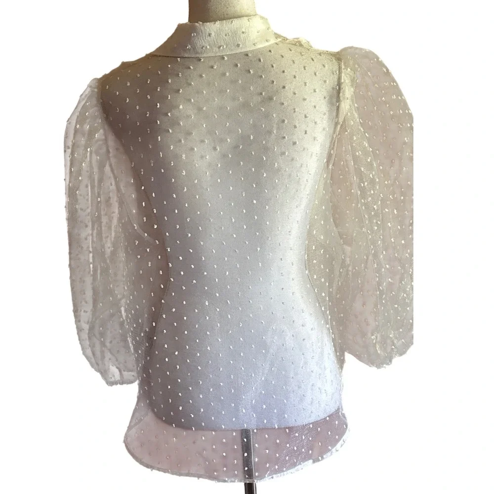 Zara White Swiss Dot Sheer Organza Top XL, romantic, feminine, coquette, classic
